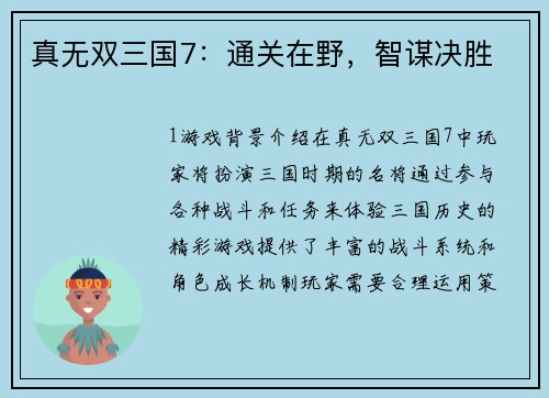 真无双三国7:通关在野,智谋决胜